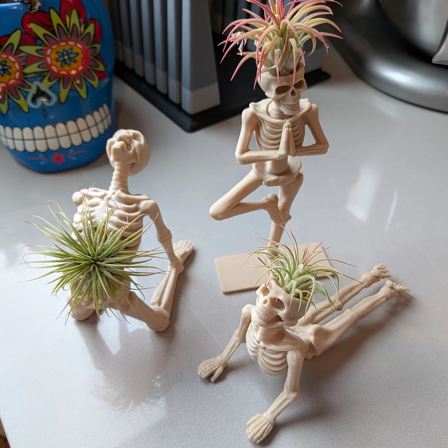 1PC 3D Printed Yoga Skeleton Air Plant Holder, Skull Planter Figurine, Gothic Desk… — image 2