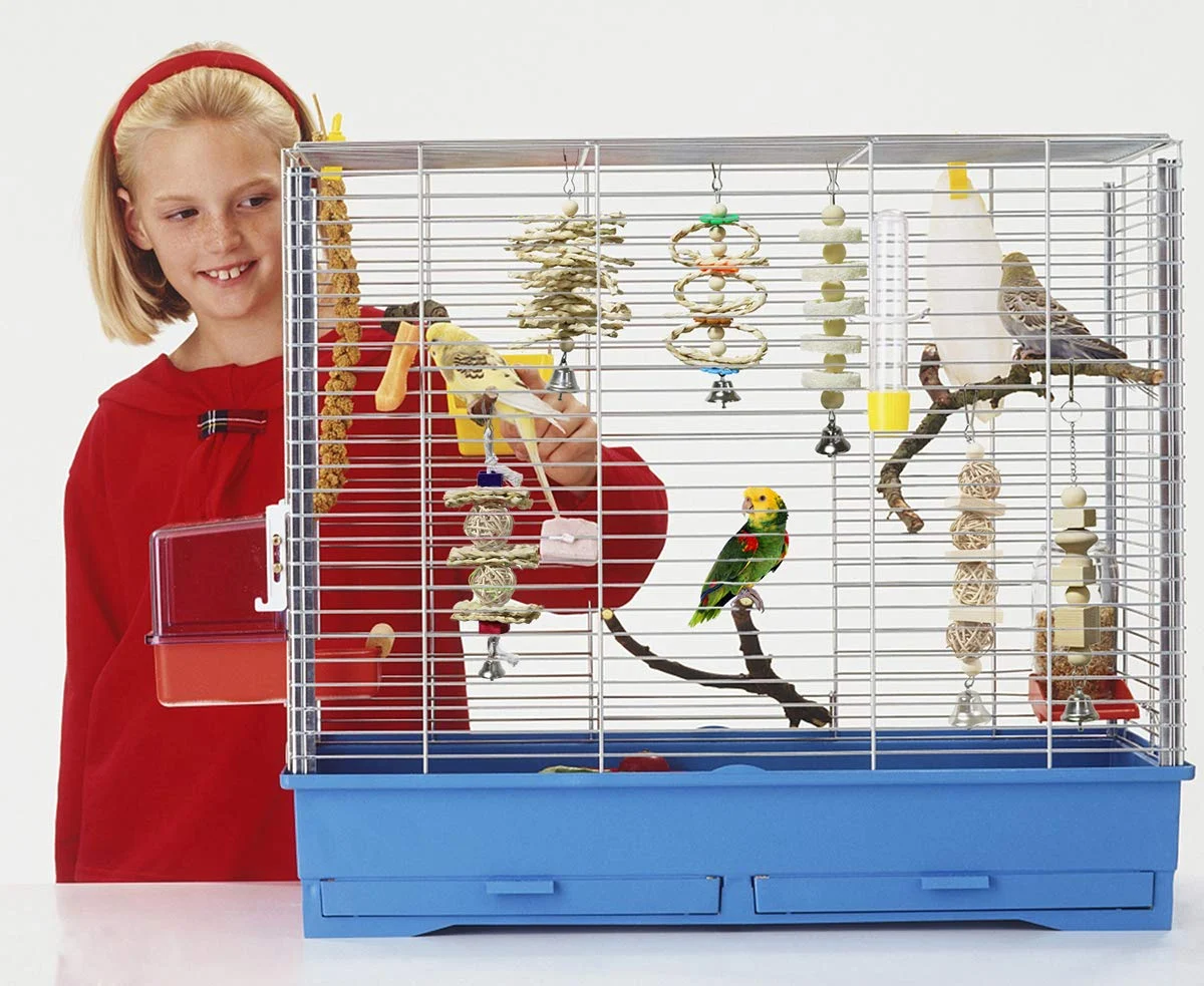 7 Pack Bird & Parrot Toys, Cage Toys For Conures, Wood Chew Set Natural Wood, Conure… — image 5