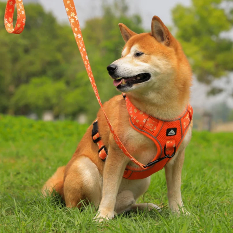 Adjustable Chest Harness For Medium- To Large-sized Dogs — image 5