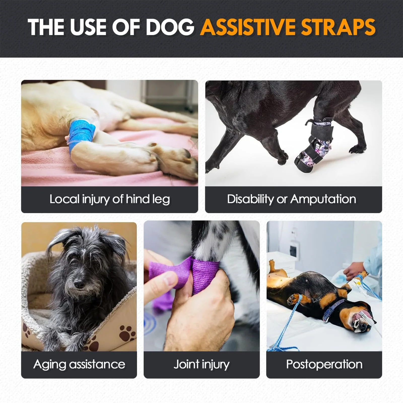 Adjustable Dog Lift Harness, Sling For Large Dogs Support And Rehab Harness Weak Rear… — image 3