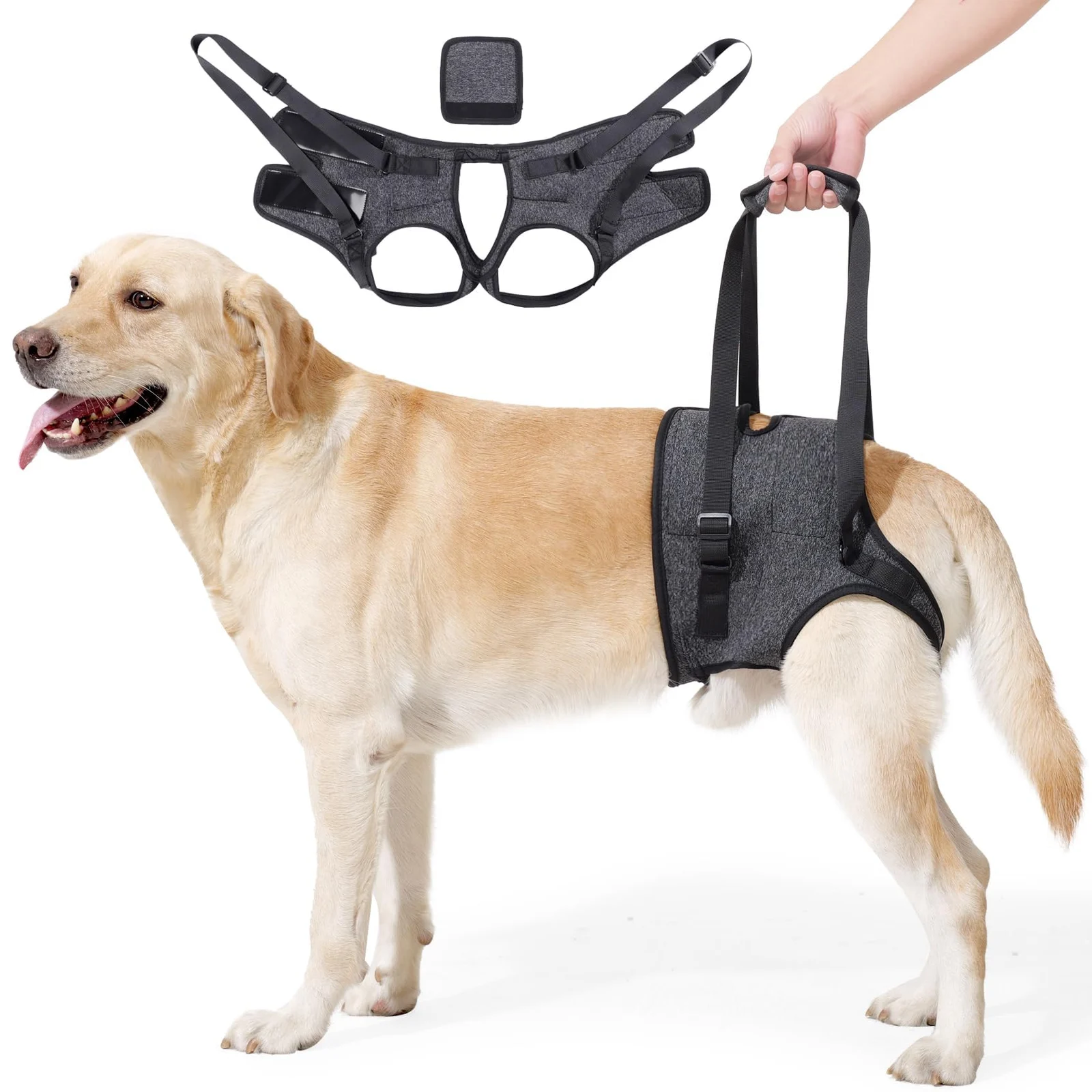 Adjustable Dog Lift Harness, Sling For Large Dogs Support And Rehab Harness Weak Rear… — image 5