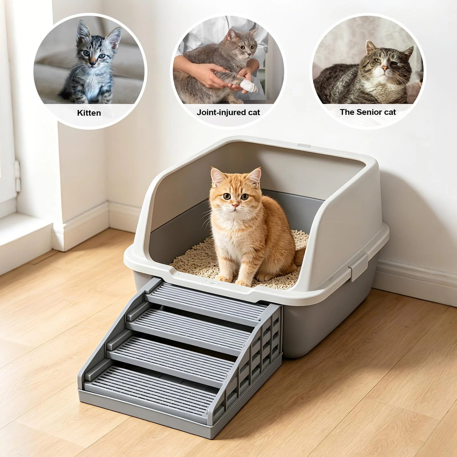 Adjustable Litter Box Ramp, Elevated Cat Ramp Stairs With Filter Function, Step For… — image 4