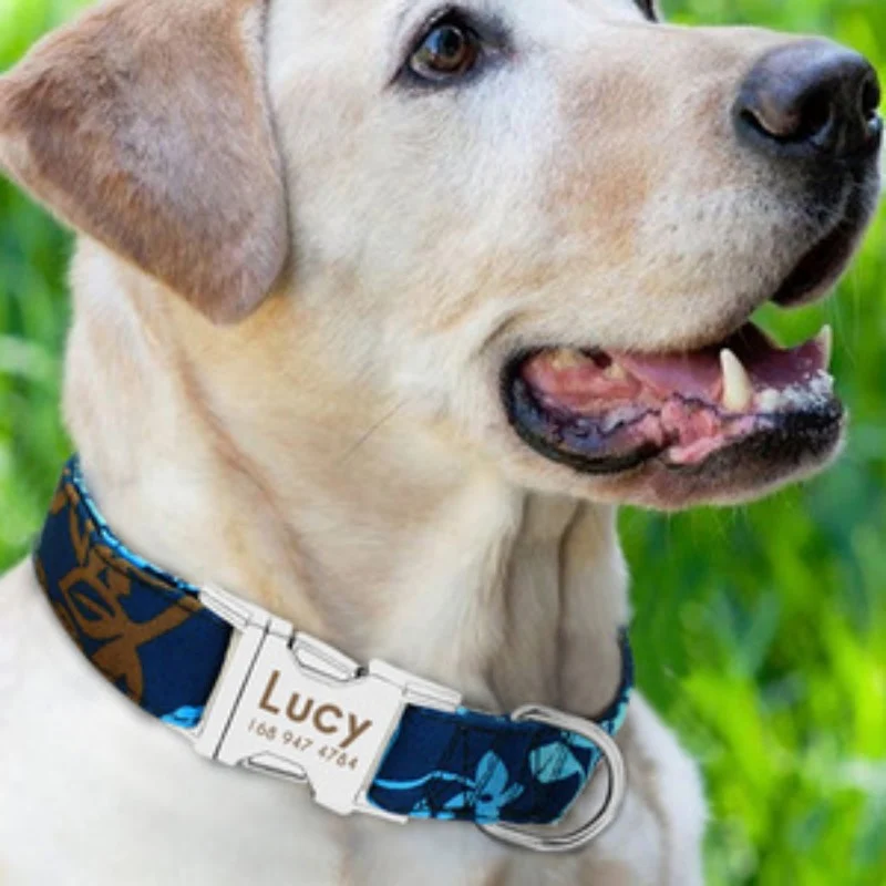 Applicable Dog Collar Name — image 3