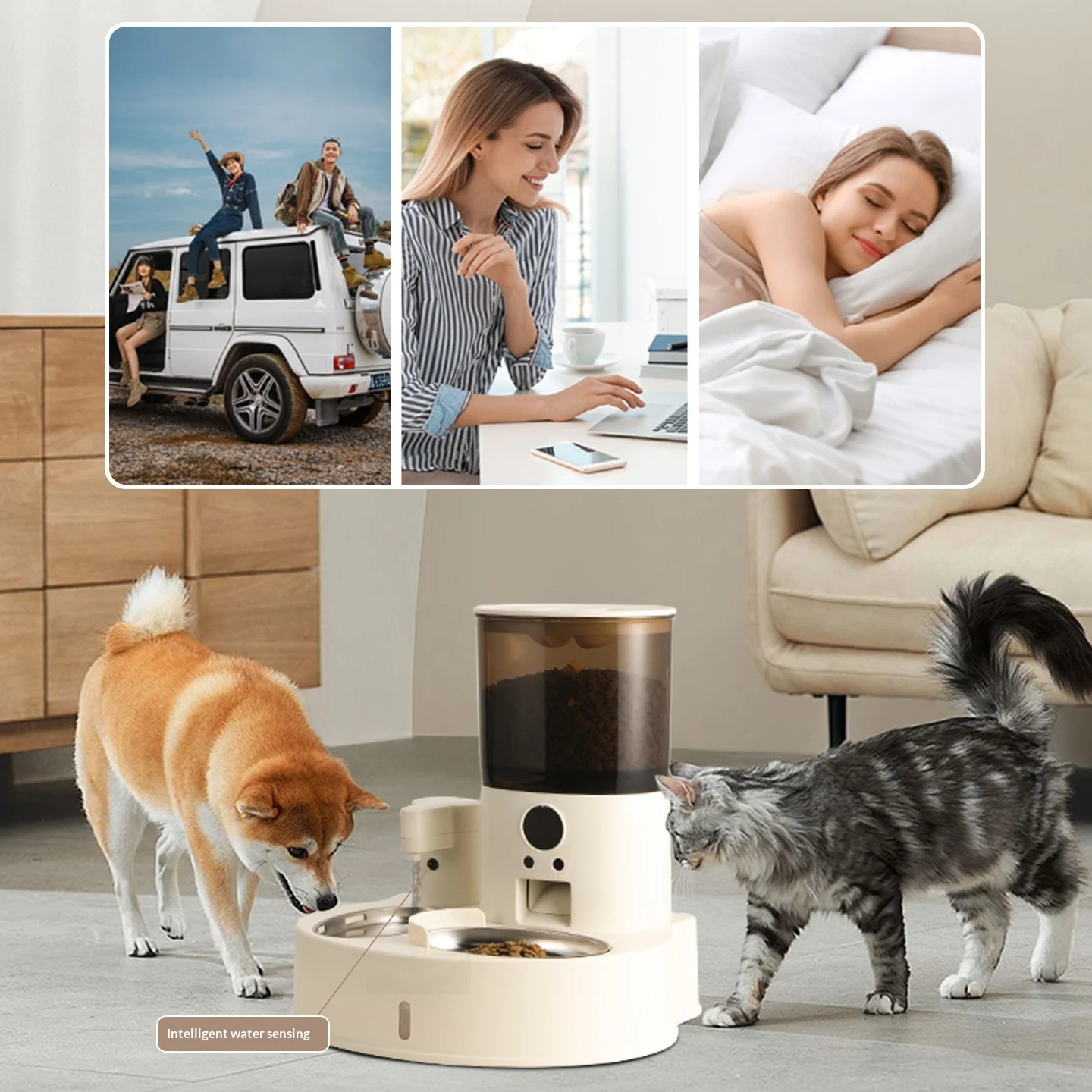 Automatic Cat Feeder With Timed & Portion Control — image 8