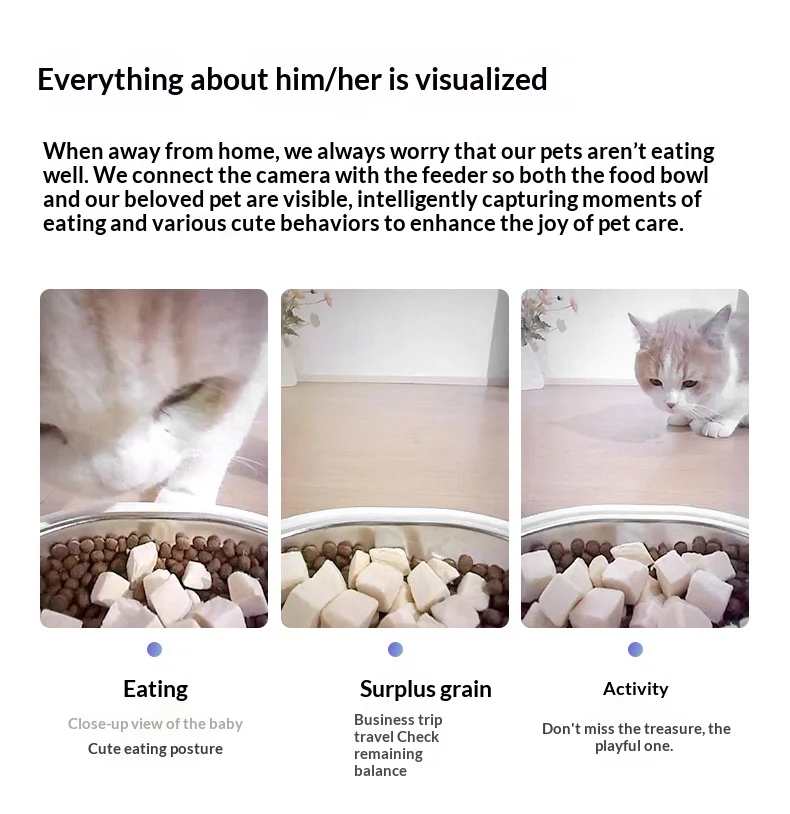 Automatic Dog Feeder — image 3