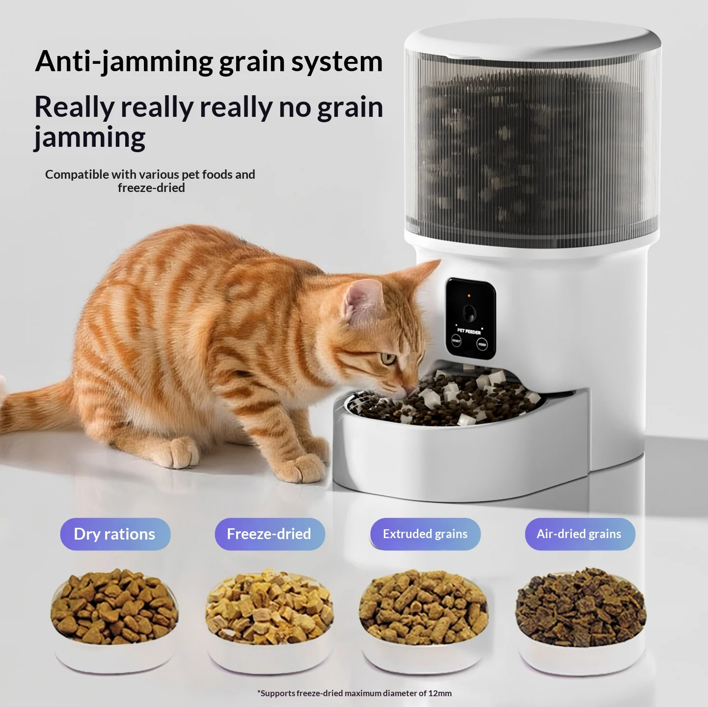 Automatic Dog Feeder — image 4