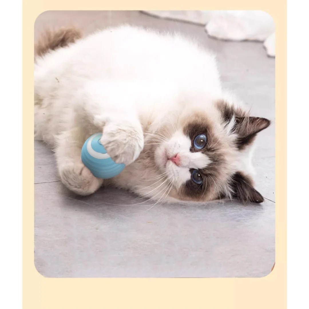 Automatic Self-play Cat Toy Ball — image 23