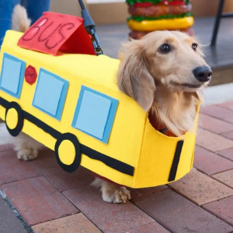 Baby Bus Pet Clothes — image 5
