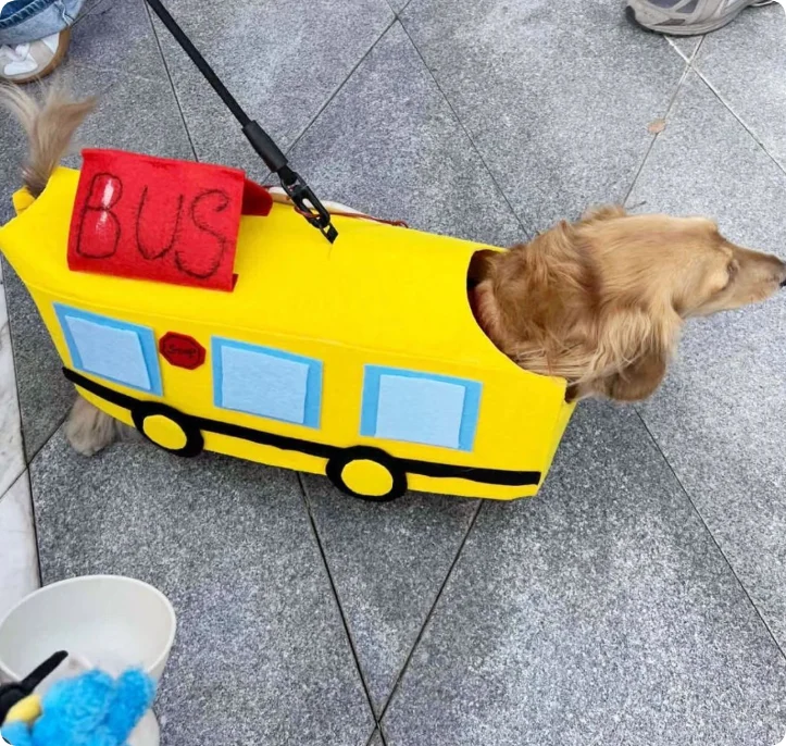 Baby Bus Pet Clothes — image 2