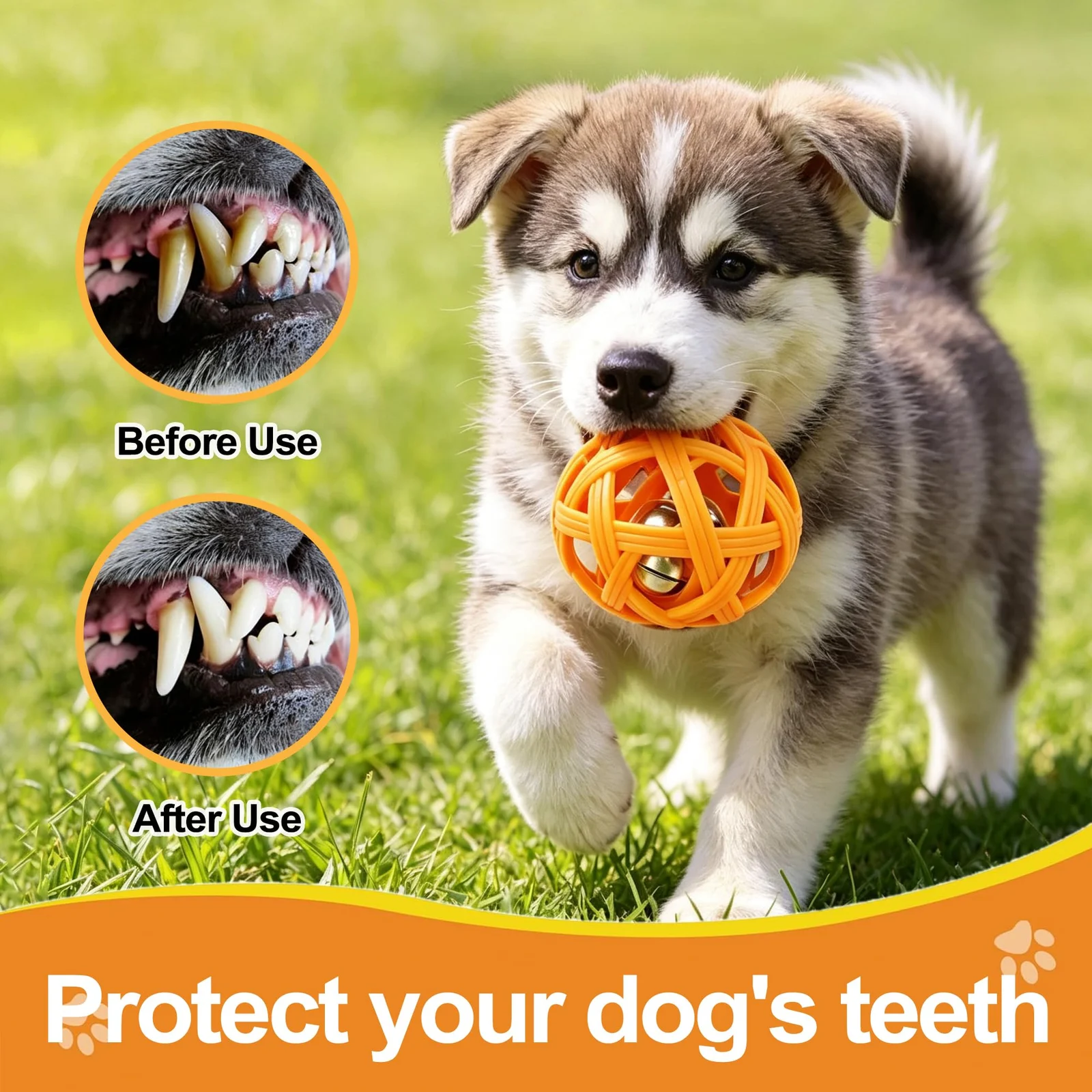 Balls With Inside Bell, Non-toxic Toys For Small Dogs & Puppies Natural Rubber, Fetch… — image 6