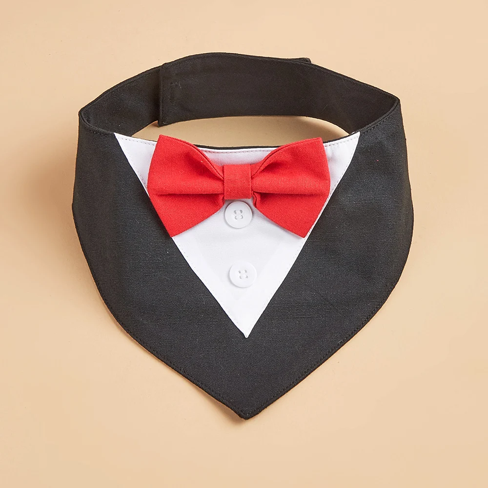 British-style Handsome Dog Bib For Weddings — image 14
