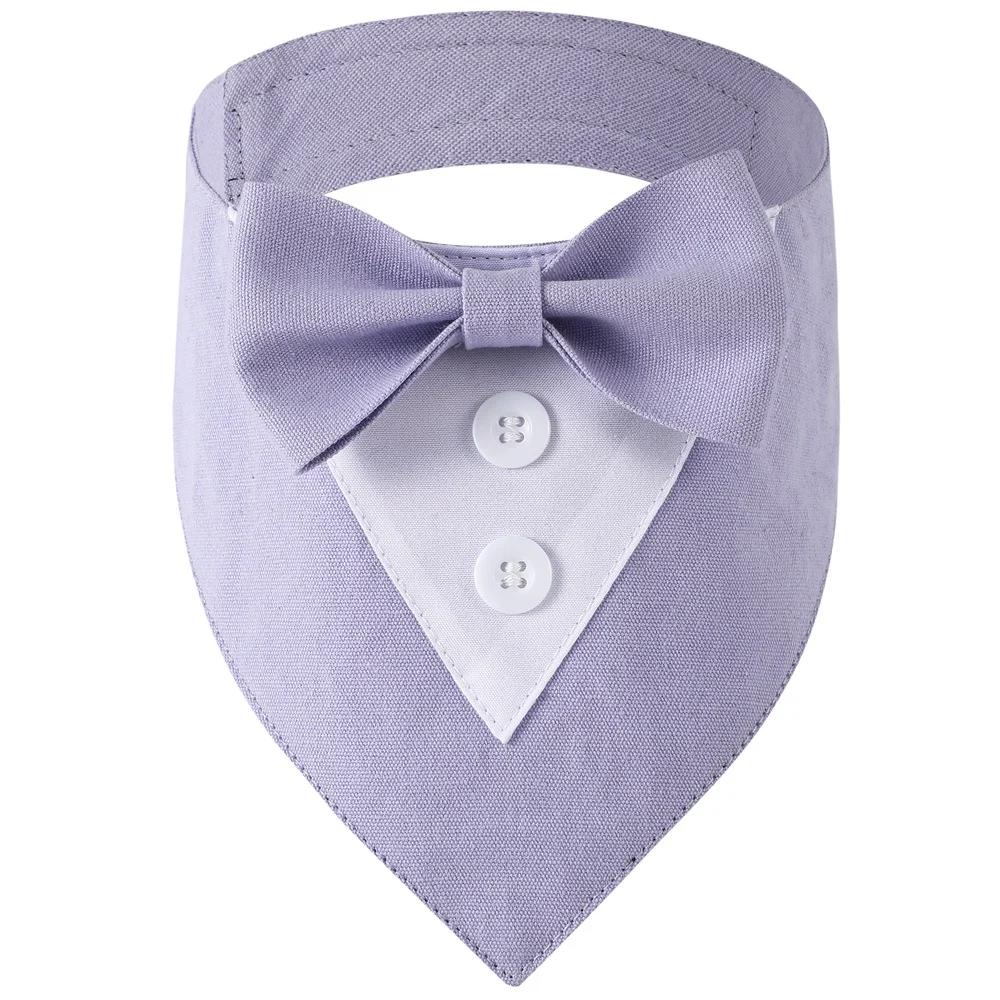 British-style Handsome Dog Bib For Weddings — image 5