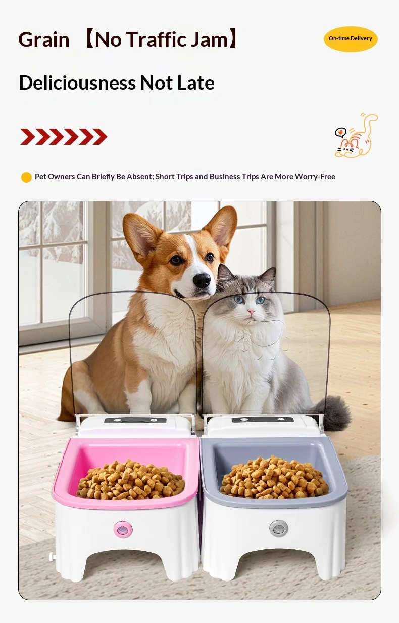 Cat Automatic Feeding Device — image 3