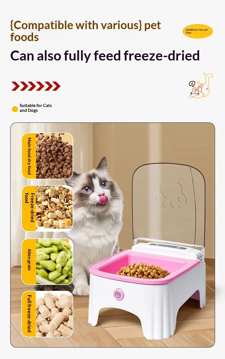 Cat Automatic Feeding Device — image 1