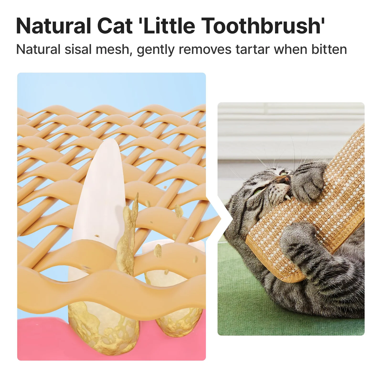 Cat Toys Pack Of 2 With Organic Catnip, Sisal Material Indoor Kitten Scratching And… — image 7