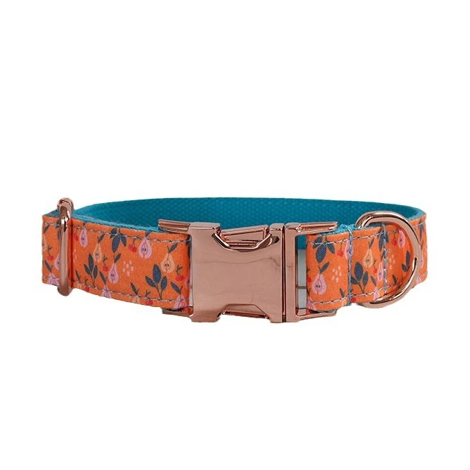 Cherry Pear Dog Collar Pet Supplies — image 2