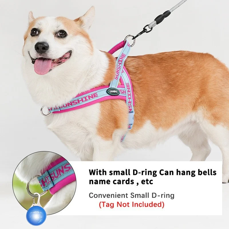 Corgi And Bichon Small-to-medium Dog Harness — image 2