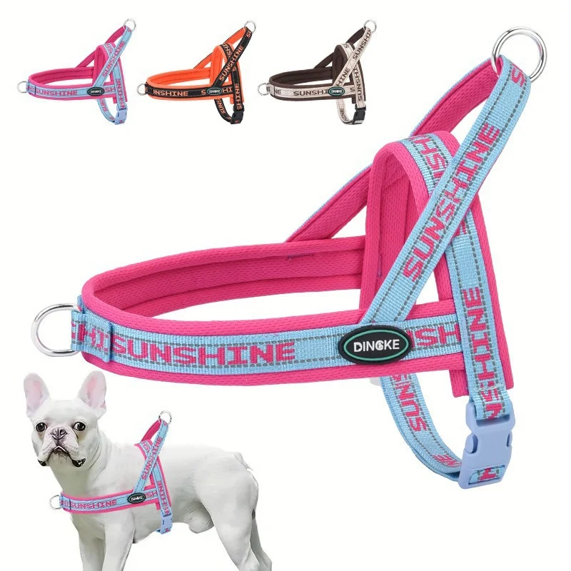Corgi And Bichon Small-to-medium Dog Harness — image 4