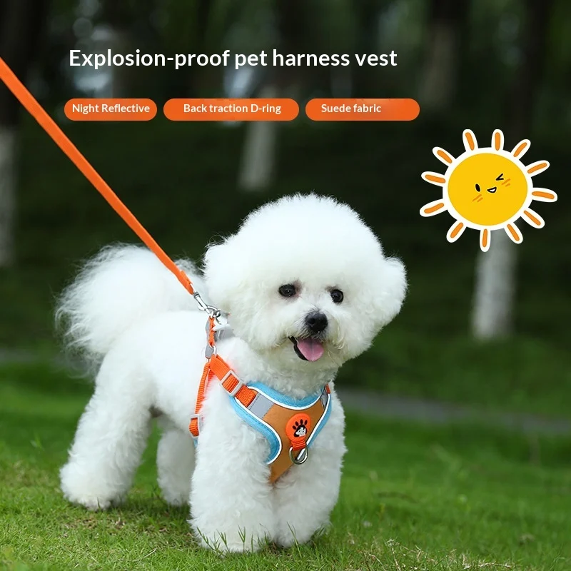 Dedicated Breathable High-leg Bichon Frise Harness And Leash — image 6