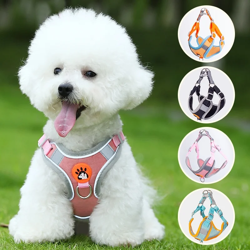 Dedicated Breathable High-leg Bichon Frise Harness And Leash — image 3