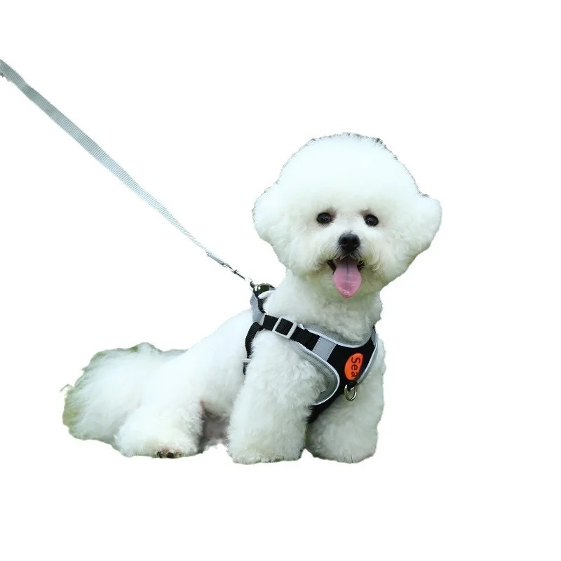 Dedicated Breathable High-leg Bichon Frise Harness And Leash — image 4