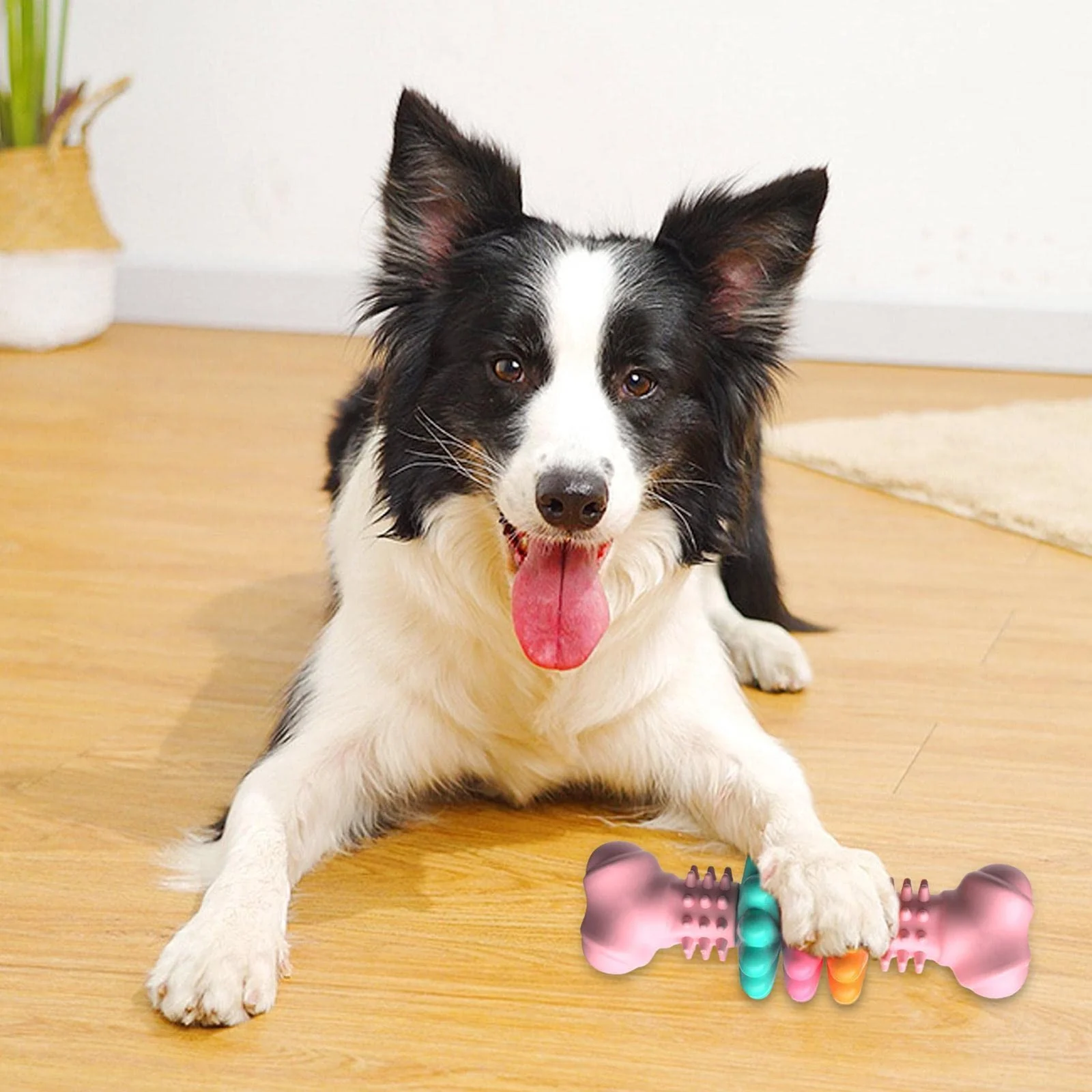 Dog Chew Toy Bone Type Dogs Teeth Cleaning Toys Indestructible TPR Chewing Bite… — image 5