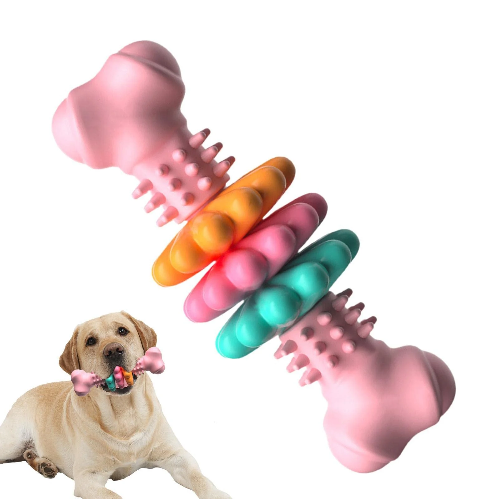 Dog Chew Toy Bone Type Dogs Teeth Cleaning Toys Indestructible TPR Chewing Bite… — image 6