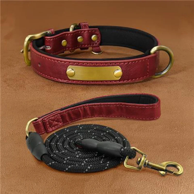 Dog Collar Engraved With Lettering To Prevent Loss Of Neck — image 5