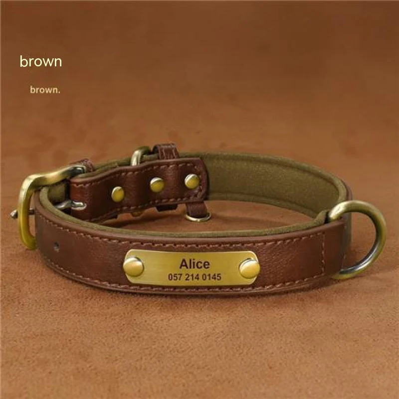 Dog Collar Engraved With Lettering To Prevent Loss Of Neck — image 4