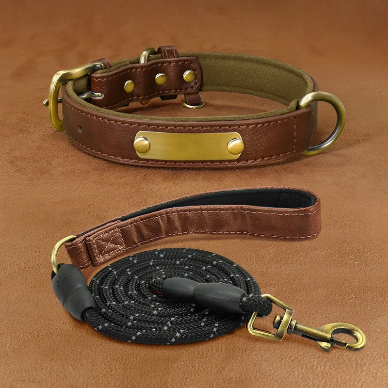 Dog Collar Engraved With Lettering To Prevent Loss Of Neck — image 3
