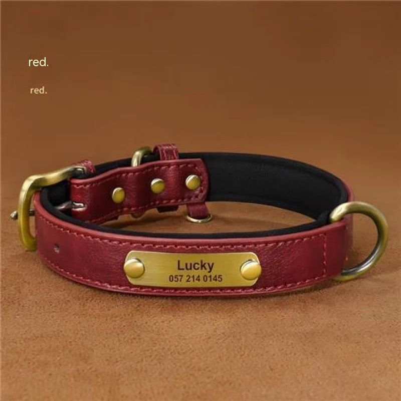 Dog Collar Engraved With Lettering To Prevent Loss Of Neck — image 8