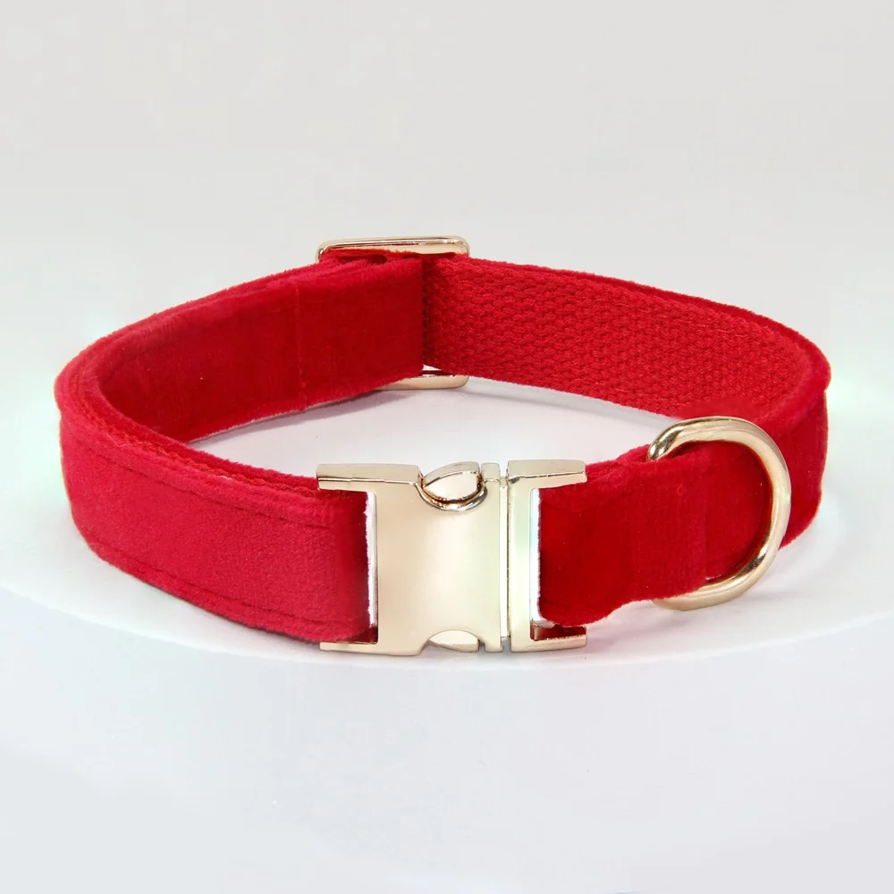 Dog Collar With Engraved Lettering, Anti Loss Collar, Large Leash — image 5