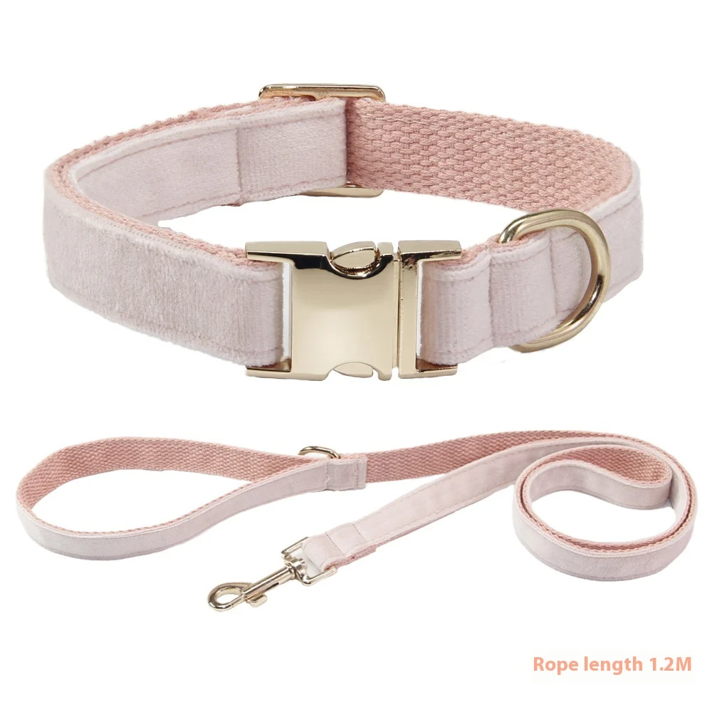 Dog Collar With Engraved Lettering, Anti Loss Collar, Large Leash — image 7