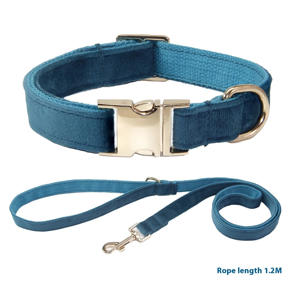 Dog Collar With Engraved Lettering, Anti Loss Collar, Large Leash — image 3