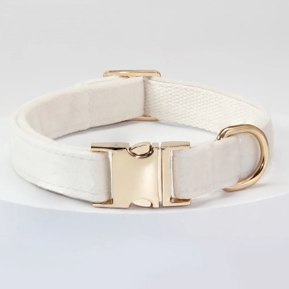Dog Collar With Engraved Lettering, Anti Loss Collar, Large Leash — image 4