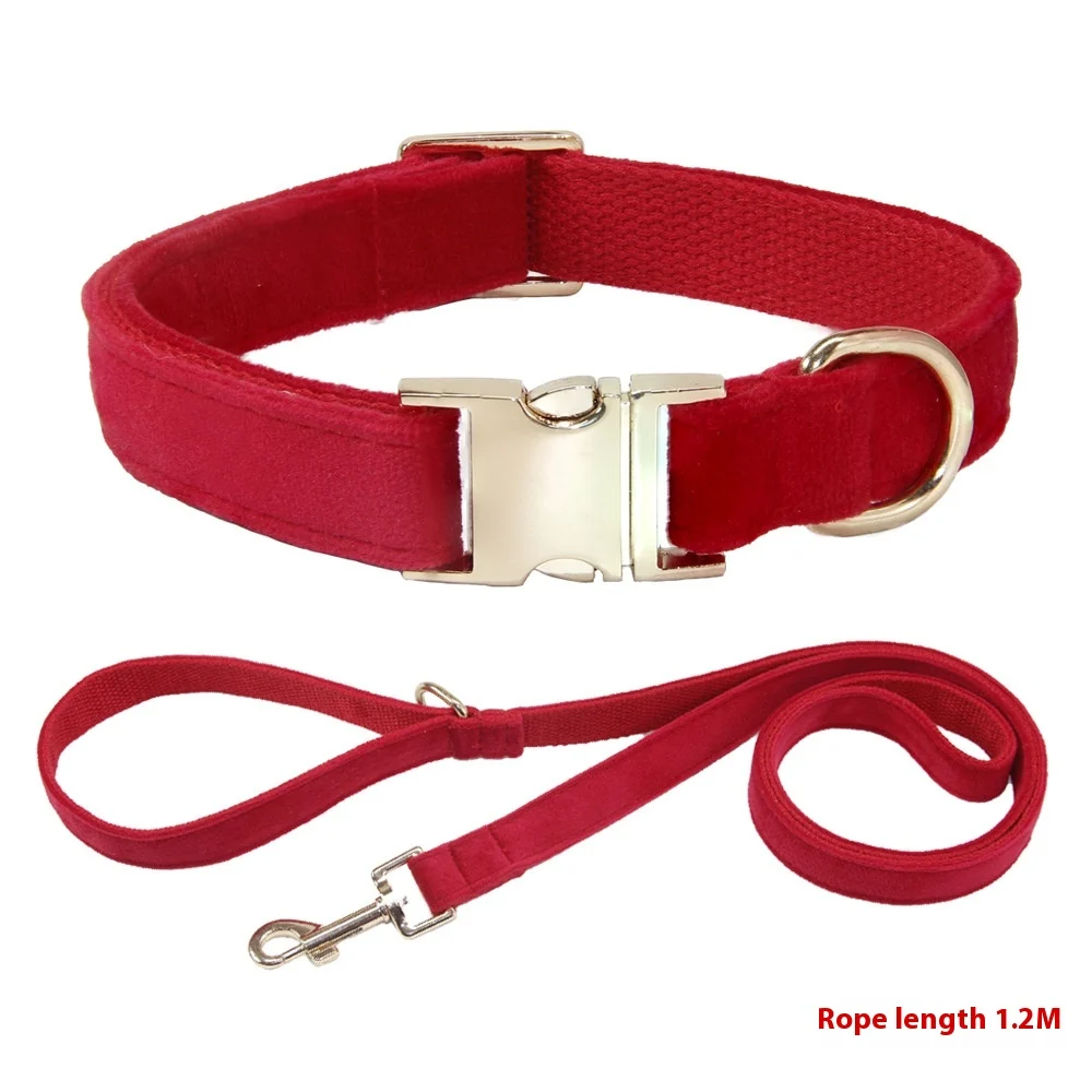 Dog Collar With Engraved Lettering, Anti Loss Collar, Large Leash — image 9
