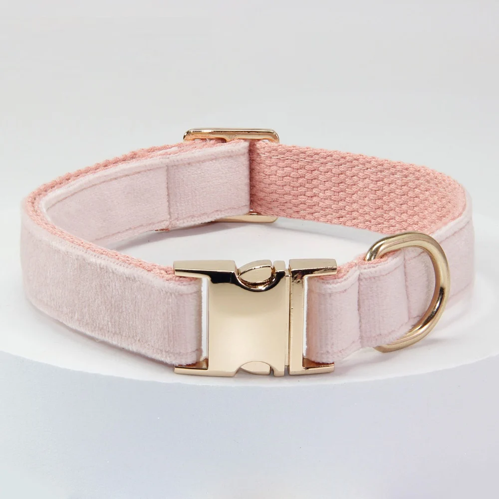 Dog Collar With Engraved Lettering, Anti Loss Collar, Large Leash — image 2