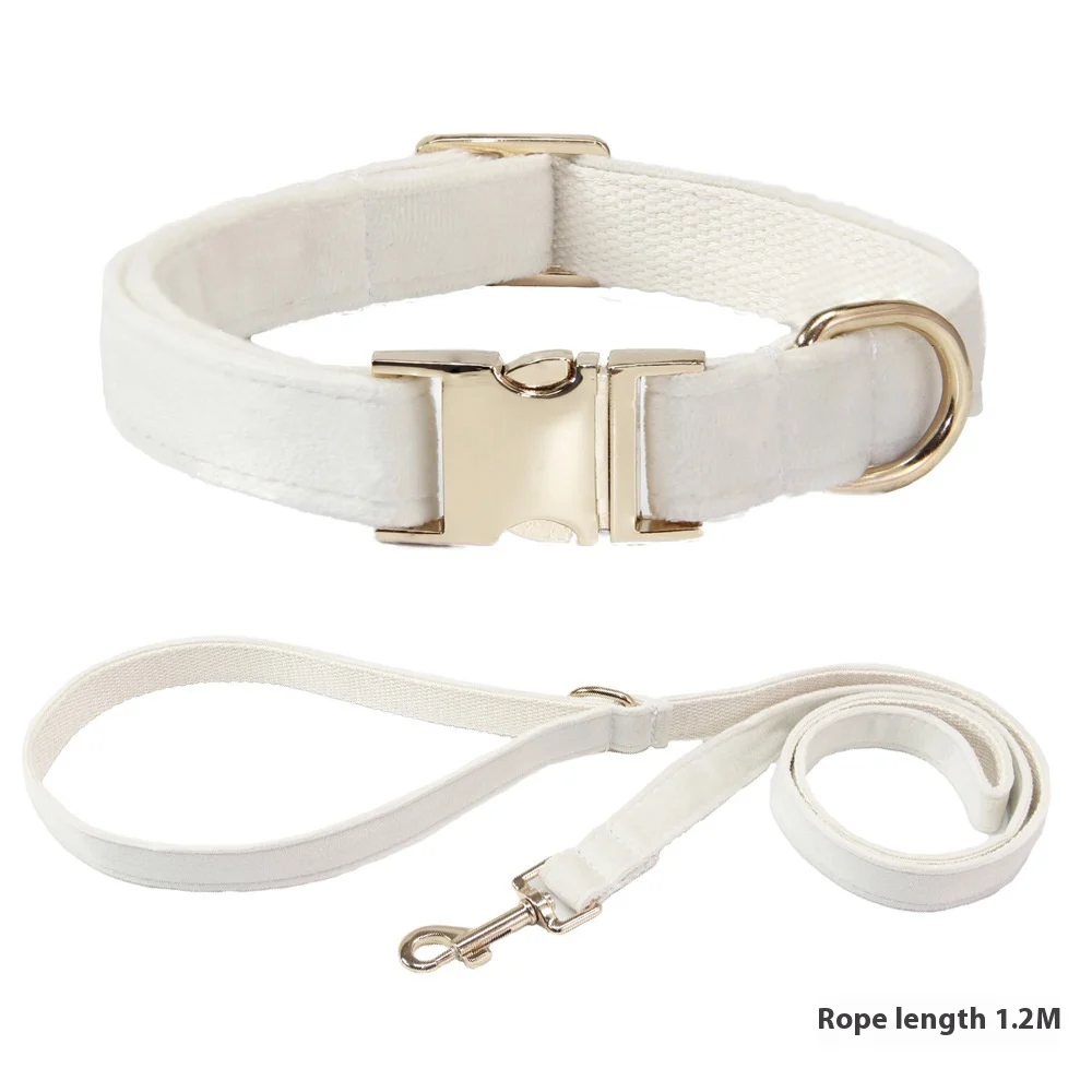 Dog Collar With Engraved Lettering, Anti Loss Collar, Large Leash — image 8