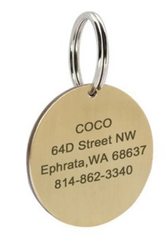 Dog ID Tag Stainless Steel Engraved Nameplate Keychain — image 4