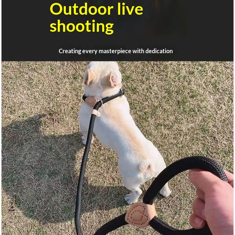 Dog Leash Anti-pull P-chain Walking — image 6