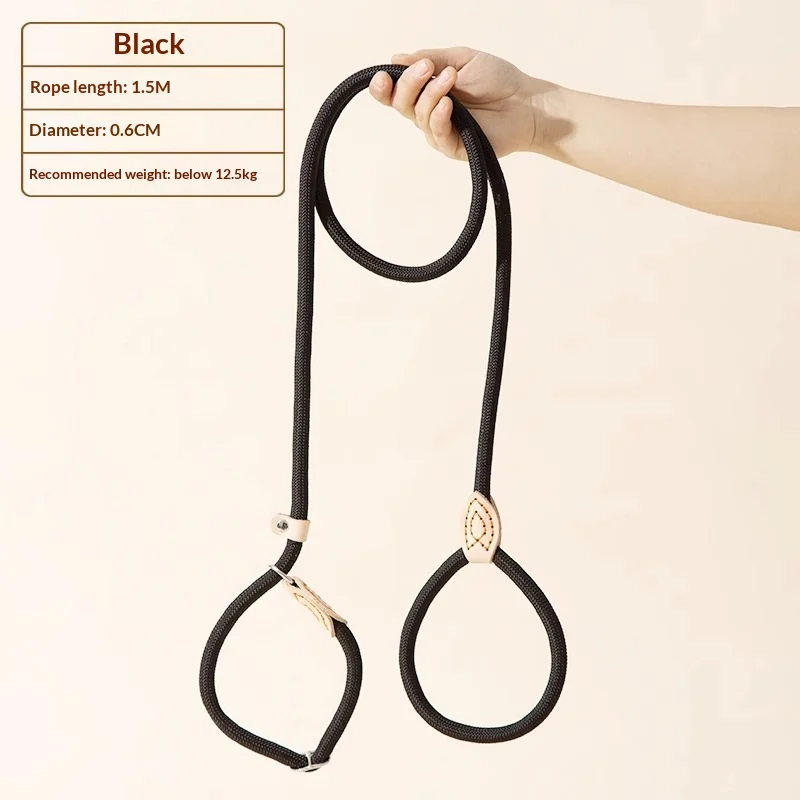 Dog Leash Anti-pull P-chain Walking — image 5