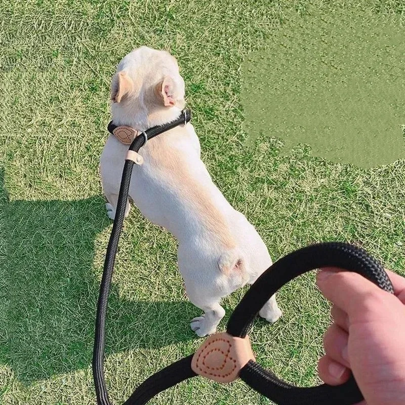Dog Leash Anti-pull P-chain Walking — image 2