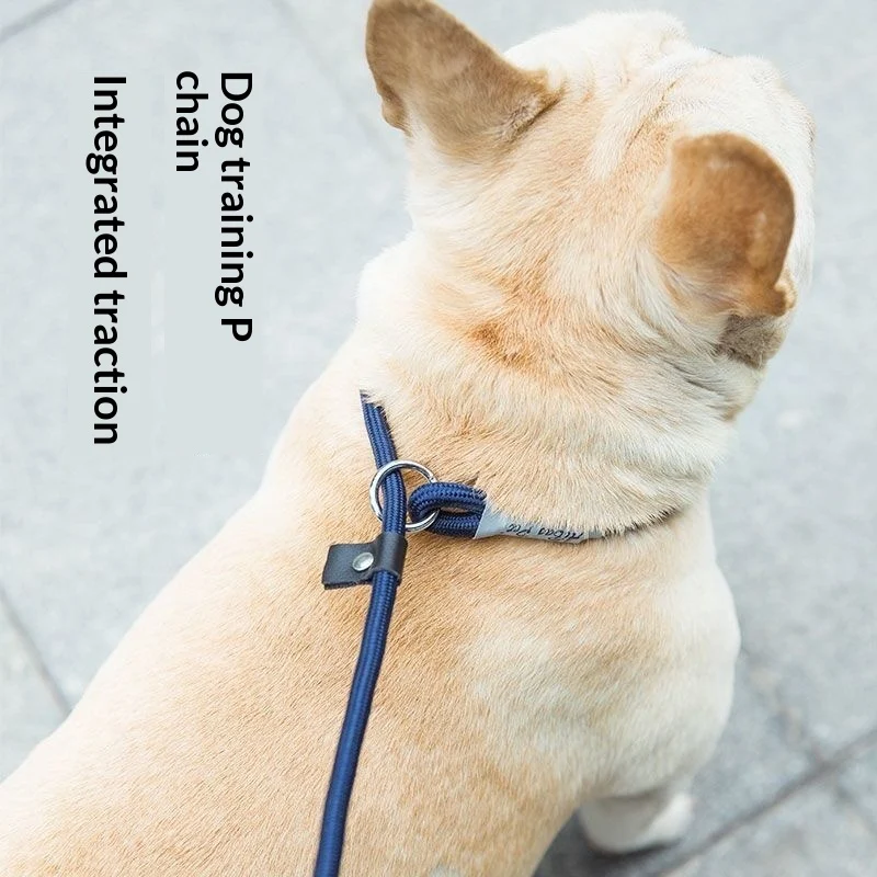 Dog Leash Anti-pull P-chain Walking — image 3