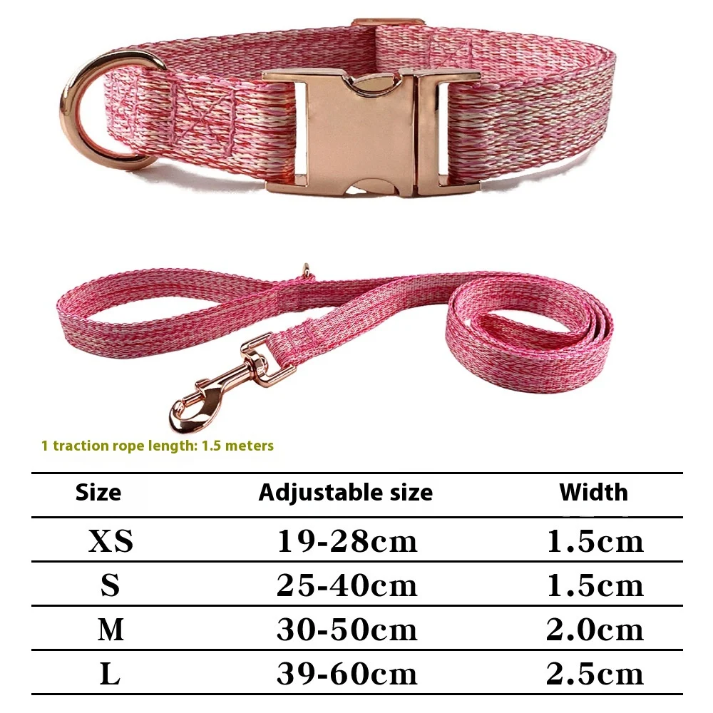 Dog Leash With Engraved Lettering And Anti Lost Collar — image 2