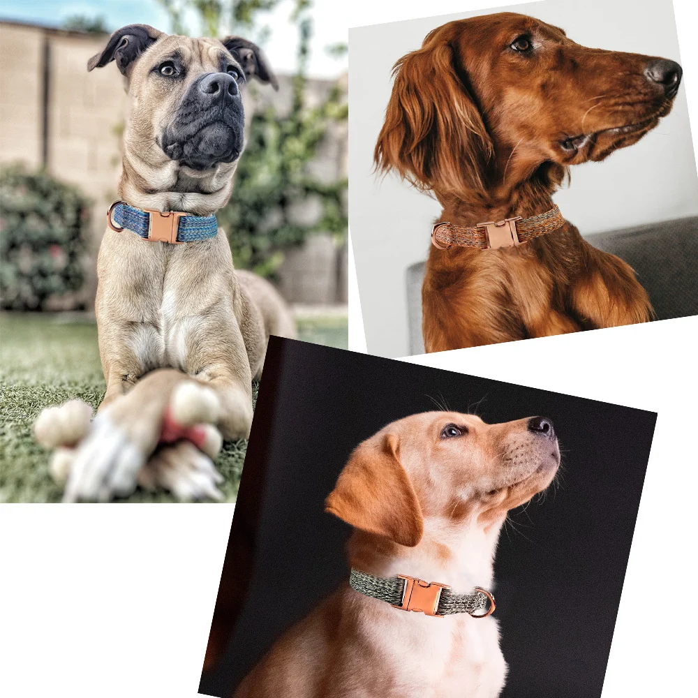 Dog Leash With Engraved Lettering And Anti Lost Collar — image 4