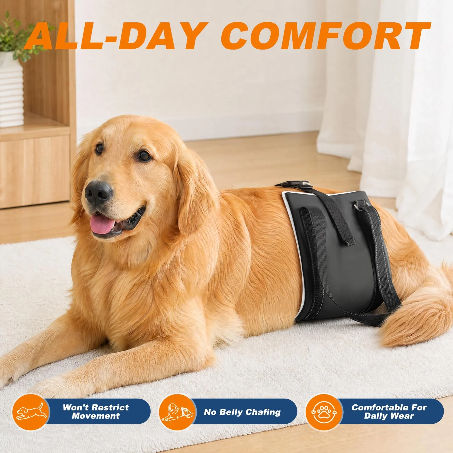 Dog Lift Harness For Rear Legs, Adjustable Support Large Dogs, Soft Hip Sling Senior,… — image 6