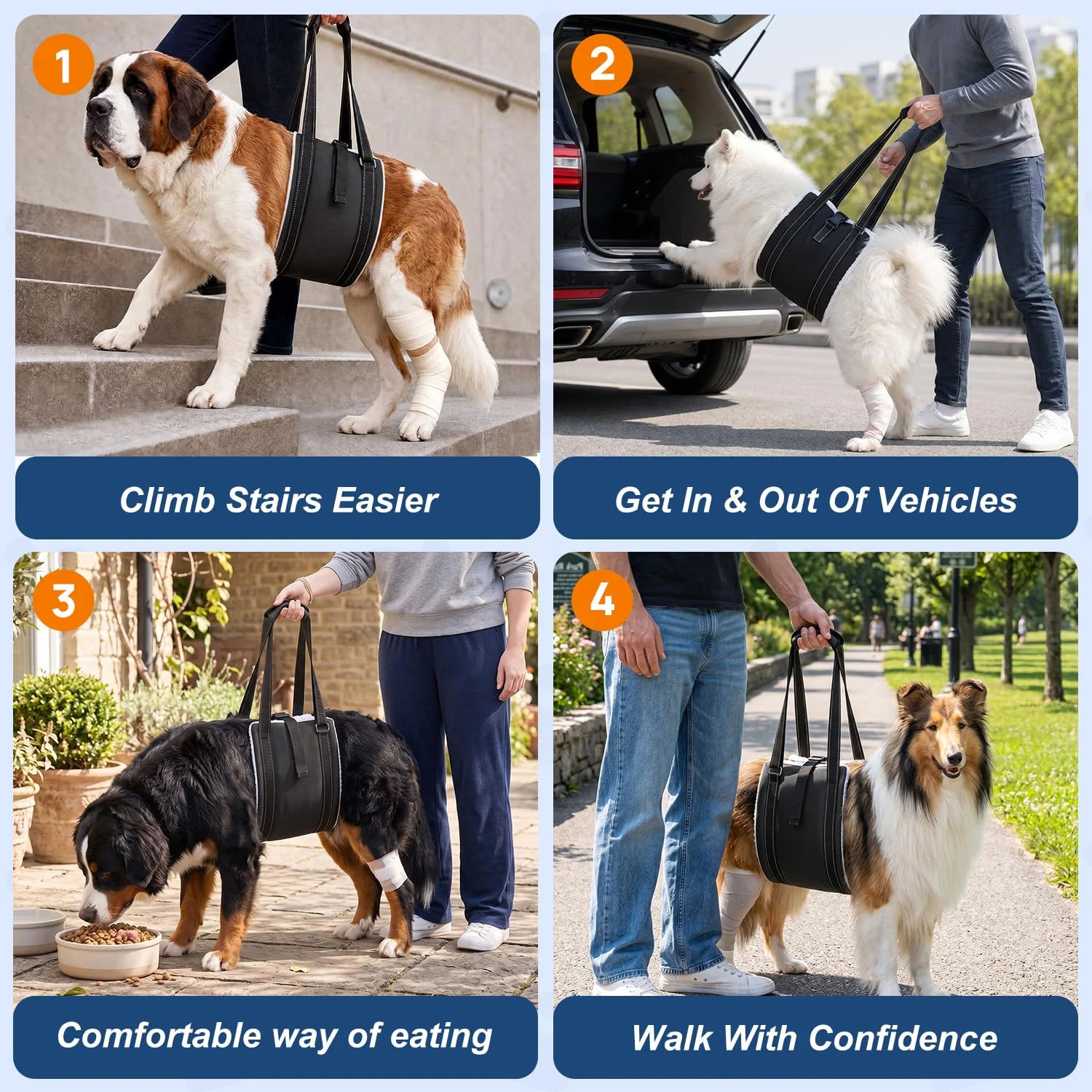 Dog Lift Harness For Rear Legs, Adjustable Support Large Dogs, Soft Hip Sling Senior,… — image 3