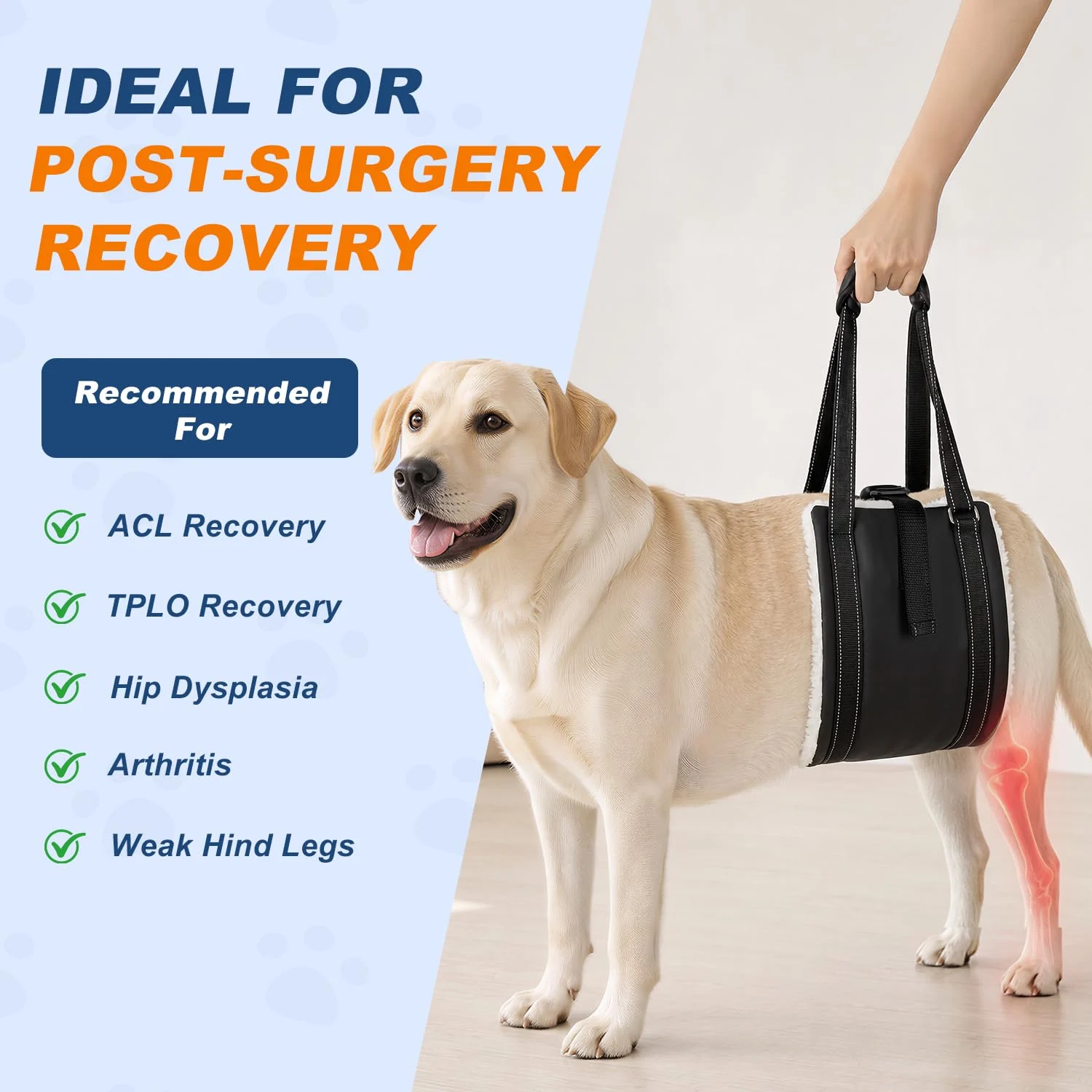 Dog Lift Harness For Rear Legs, Adjustable Support Large Dogs, Soft Hip Sling Senior,… — image 7