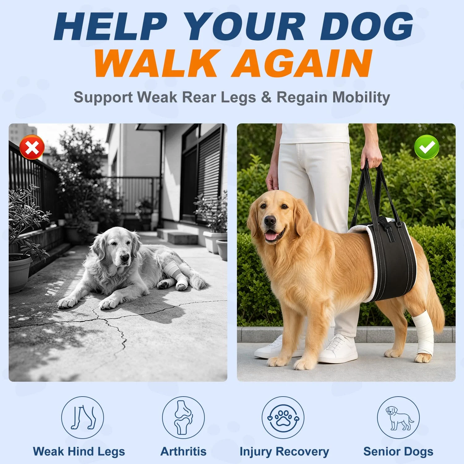 Dog Lift Harness For Rear Legs, Adjustable Support Large Dogs, Soft Hip Sling Senior,… — image 2