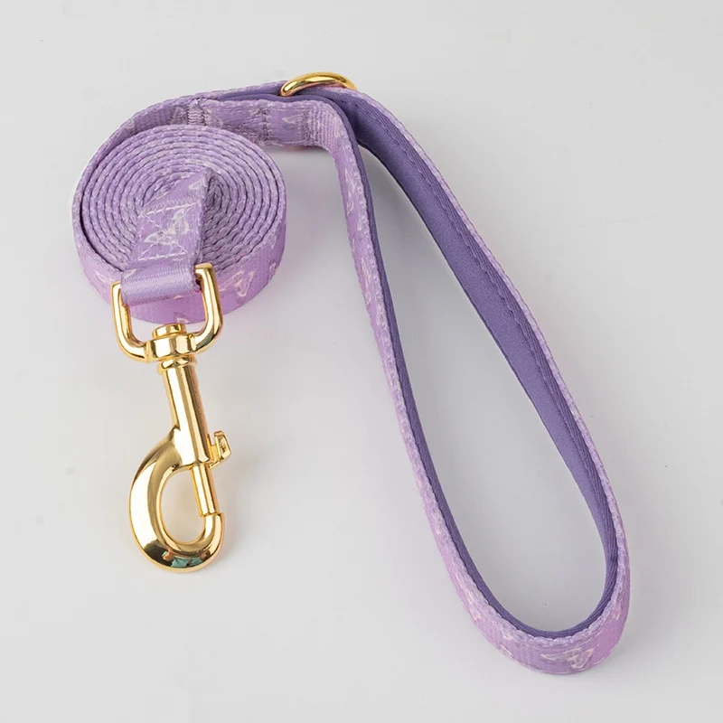 Dog Outfit Pet Extra-large Collar And Leash — image 6